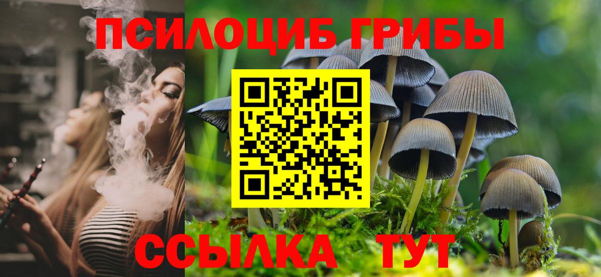 Псилоцибиновые грибы MAGIC MUSHROOMS  Вход с VPN  Чернушка 